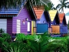 casa-colorida-4