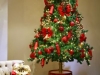 pinheiros-decorados-para-o-natal-7