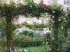 rosas-para-jardins-7