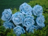 decoracao-de-jardim-com-rosa-azul-15