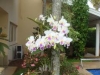 jardim-com-orquideas-13