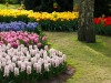 jardins-com-flores-coloridas-4