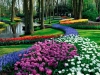jardins-com-flores-coloridas-6