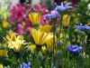 jardins-com-flores-coloridas-7
