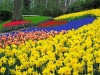 jardins-com-flores-coloridas-8