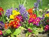 jardins-com-flores-coloridas-9