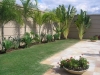 jardins-com-palmeiras-1