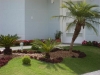 jardins-com-palmeiras-10