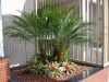 jardins-com-palmeiras-15