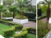 jardins-com-palmeiras-3