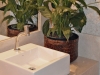 plantas-no-banheiro-3