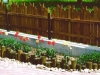 cerca-de-madeira-para-jardim-5