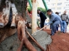 concreto-ecologico-10