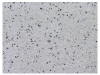 concreto-ecologico-6