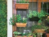 janelas-com-jardineiras-6