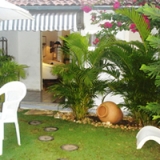 jardinagem-para-casa-4