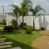 jardinagem-para-casa-8