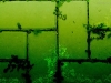 muro-com-verde-4