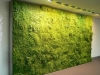 muro-com-verde-5