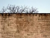 muro-de-tijolos-4
