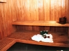 sauna-2