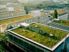 telhado-ecologico-10